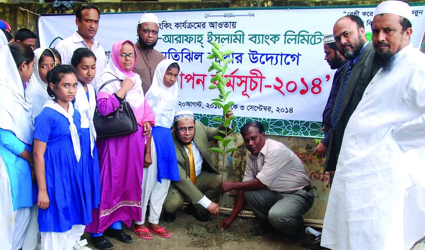Md Fazlul Karim, Motijheel Branch Manager and Executive Vice President of Al-Arafah Islami Bank Limited inaugurating 'Tree Plantation Campaign 2014' under Green Banking programme at Maniknagar Model High School in the city on Monday.