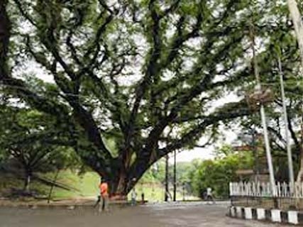 A scene from the partial area of Central Railway Buliding (CRB) in Chattogram