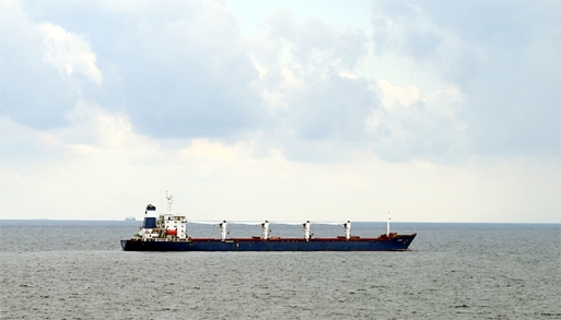 The Sierra Leone-flagged Razoni arrived at the edge of the Bosphorus Strait just north of Istanbul on Tuesday, a day after leaving the Black Sea port of Odessa carrying 26,000 tonnes of maize bound for Lebanon.