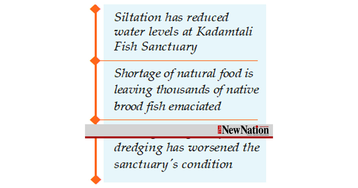 Water, food shortages threaten Kadamtali brood fish
