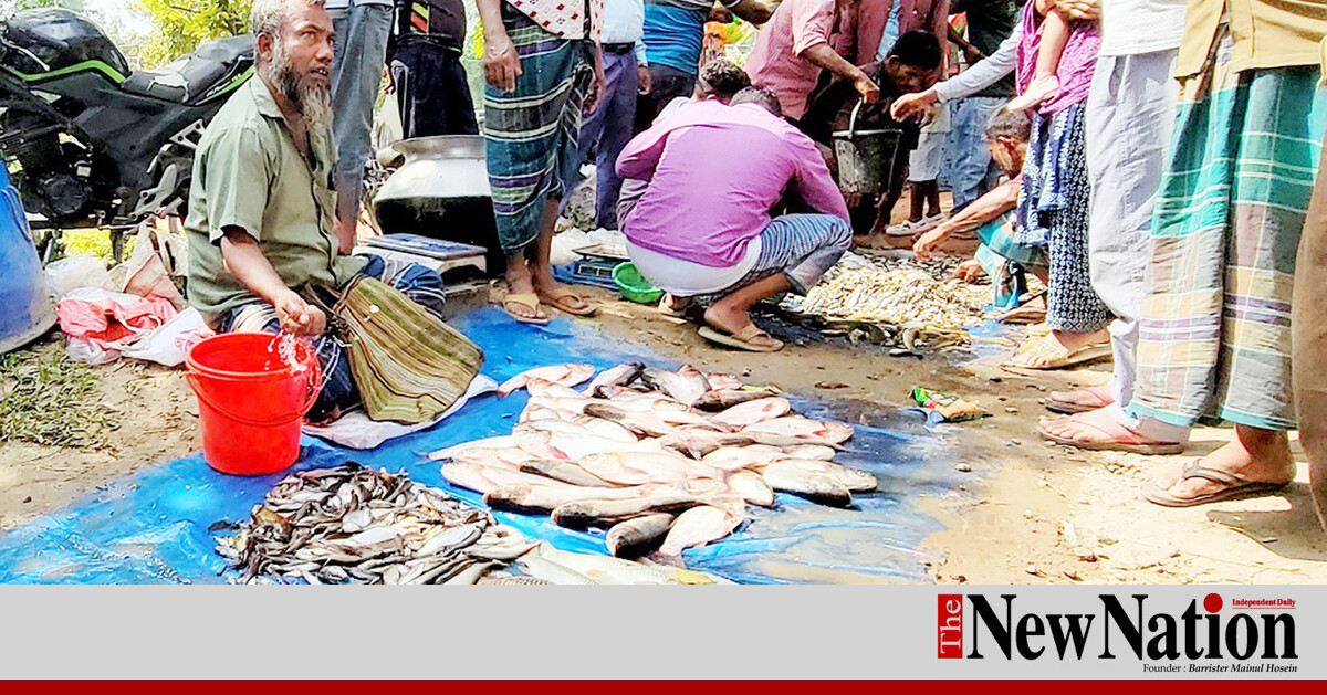 Thakurgaon residents join in fishing festival